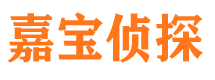 临漳市私家侦探